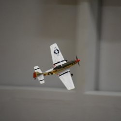 Indoor Flying 07.11.2019